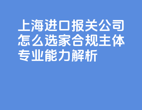 2026 上海进口报关公司怎么选 5 家合规主体专业能力解析