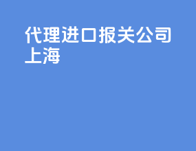 代理进口报关公司上海