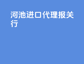 河池进口代理报关行