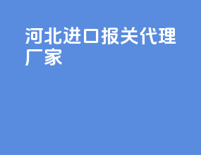 河北进口报关代理厂家
