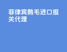 菲律宾鹅毛进口报关代理