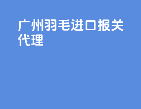 广州羽毛进口报关代理