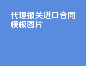 代理报关进口合同模板图片
