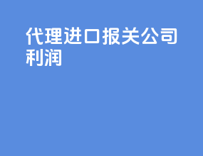 代理进口报关公司利润