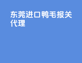 东莞进口鸭毛报关代理