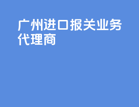广州进口报关业务代理商