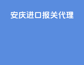 安庆进口报关代理