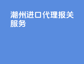 潮州进口代理报关服务