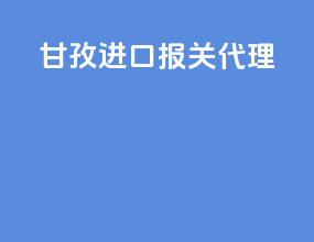 甘孜进口报关代理