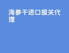 海参干进口报关代理