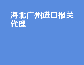 海北广州进口报关代理
