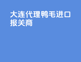 大连代理鸭毛进口报关商