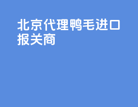 北京代理鸭毛进口报关商