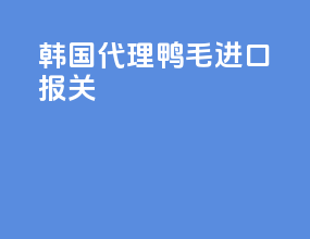 韩国代理鸭毛进口报关
