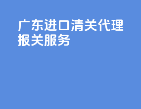 广东进口清关代理报关服务