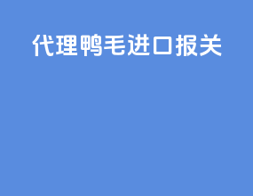 代理鸭毛进口报关