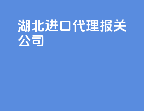 湖北进口代理报关公司
