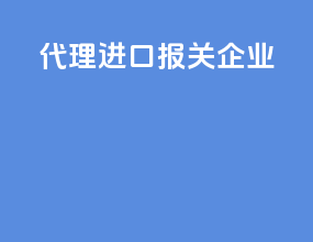 代理进口报关企业