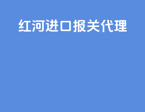 红河进口报关代理