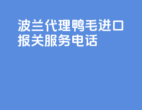 波兰代理鸭毛进口报关服务电话