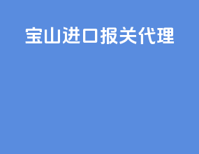 宝山进口报关代理