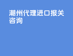 潮州代理进口报关咨询