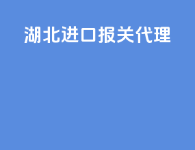 湖北进口报关代理