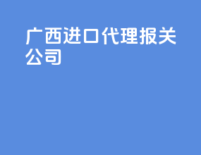 广西进口代理报关公司
