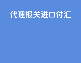 代理报关进口付汇
