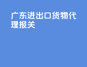 广东进出口货物代理报关