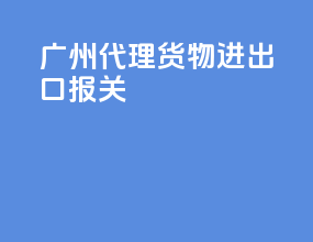 广州代理货物进出口报关