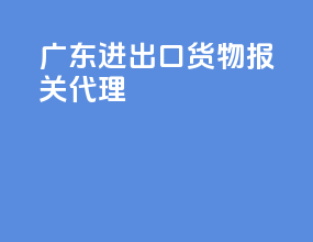 广东进出口货物报关代理