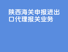 陕西海关申报进出口代理报关业务