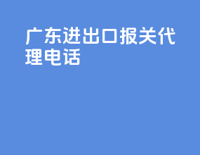 广东进出口报关代理电话