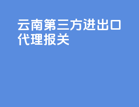 云南第三方进出口代理报关