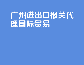广州进出口报关代理国际贸易