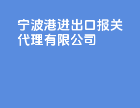 宁波港进出口报关代理有限公司