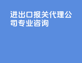进出口报关代理公司专业咨询