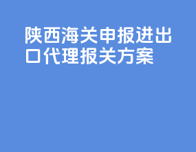 陕西海关申报进出口代理报关方案