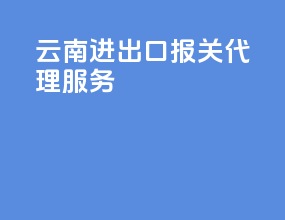 云南进出口报关代理服务