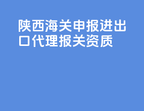 陕西海关申报进出口代理报关资质