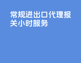 常规进出口代理报关24小时服务