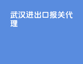 武汉进出口报关代理