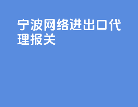 宁波网络进出口代理报关