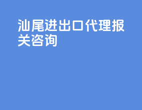 汕尾进出口代理报关咨询