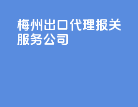 梅州出口代理报关服务公司