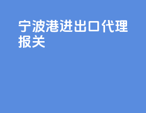 宁波港进出口代理报关