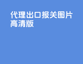代理出口报关图片高清版
