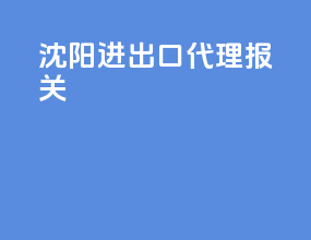 沈阳进出口代理报关