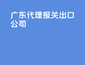 广东代理报关出口公司